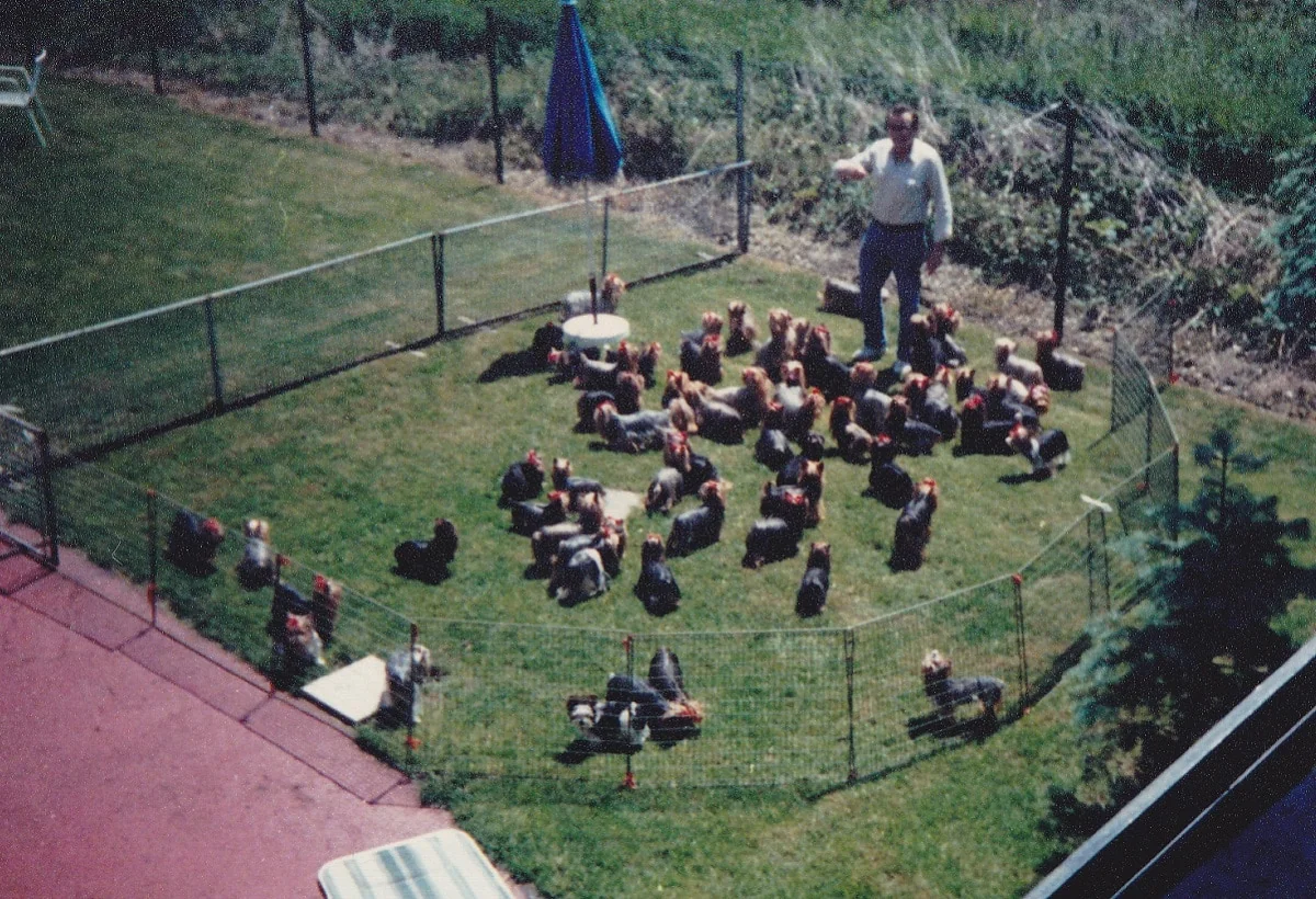 Vista del criadero original de los Biewer, con varias generaciones de ejemplares reunidas en el jardín.